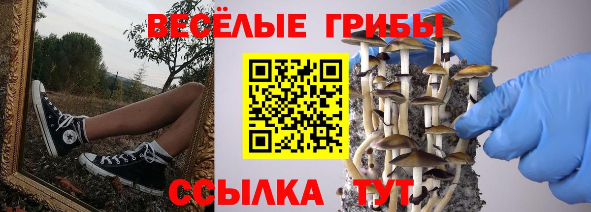 Галлюциногенные грибы Psilocybine cubensis  Вход с VPN  Тулун 
